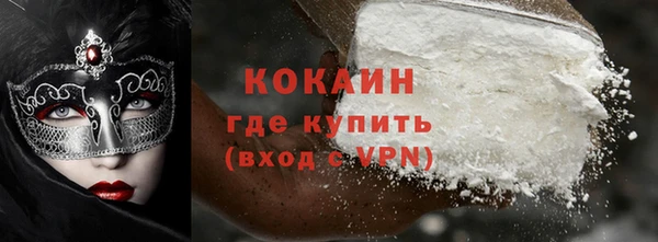 прущие грибы Новозыбков