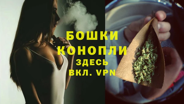 дмт Новокубанск