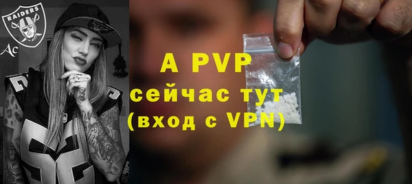 прущие грибы Новозыбков