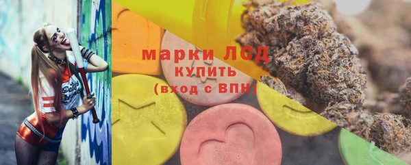гидропоника Алзамай
