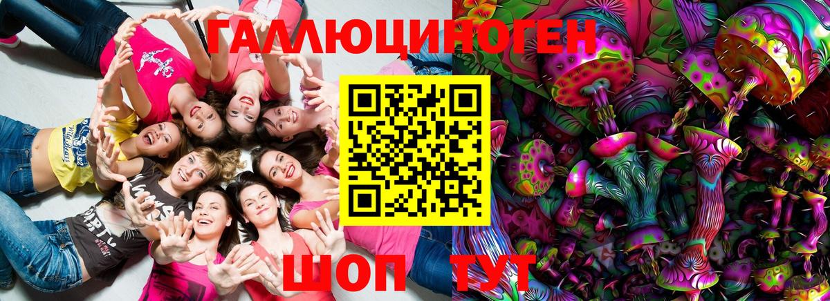 Псилоцибиновые грибы Анжеро-Судженск