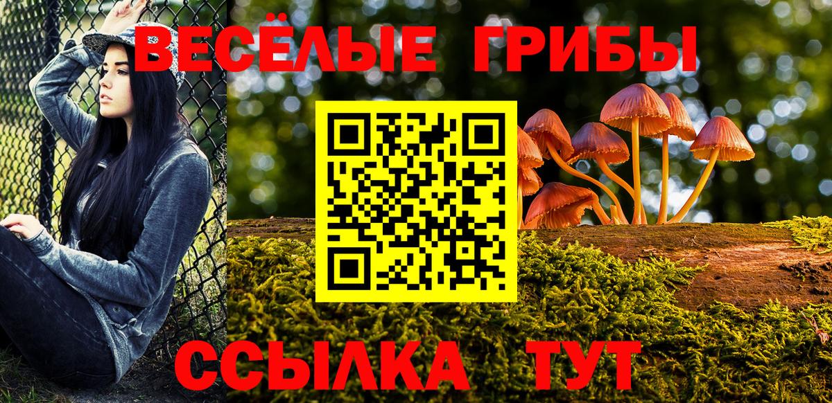 Каннабис Анжеро-Судженск