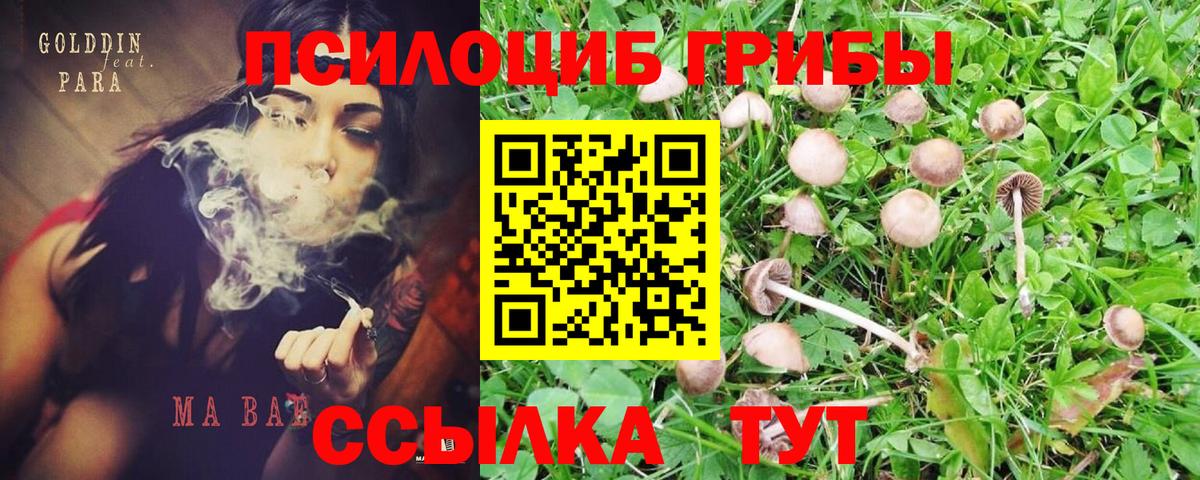 Галлюциногенные грибы Magic Shrooms Анжеро-Судженск