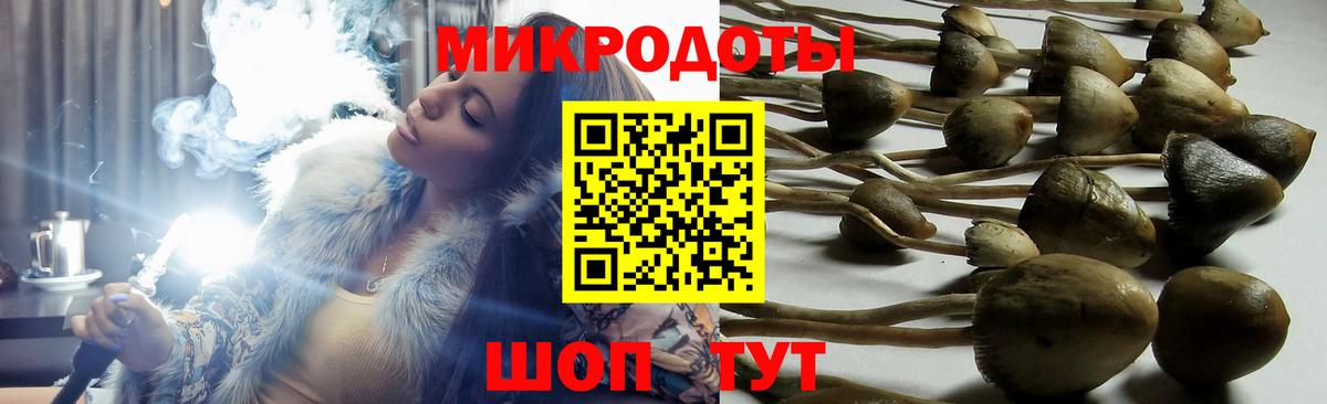 Анжеро-Судженск  даркнет сайт  Вход с VPN  Галлюциногенные грибы MAGIC MUSHROOMS 